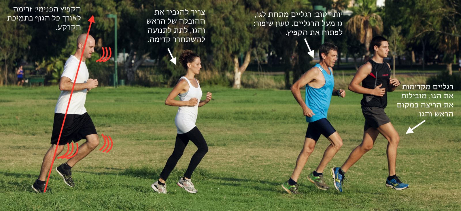 הקפיץ הפנימי